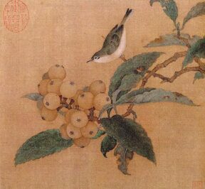 Loquats_and_Mountain_Bird