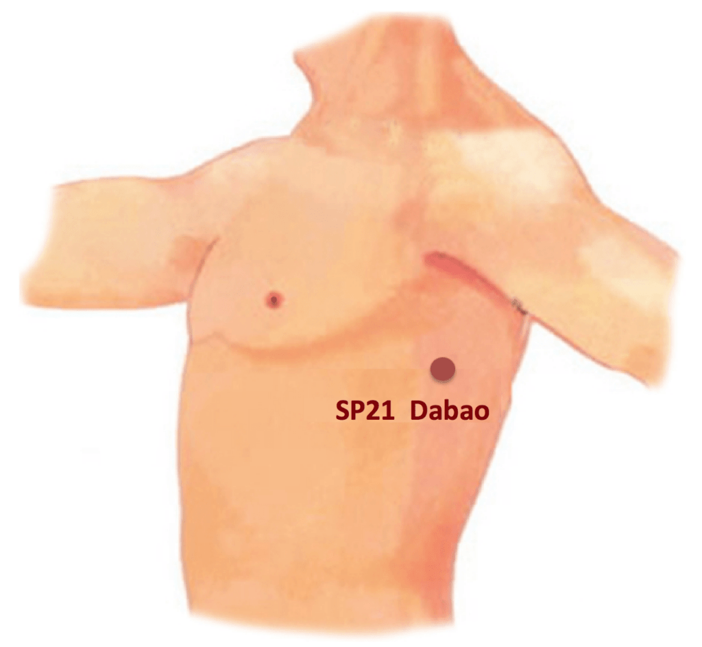 SP21-acupressure-point