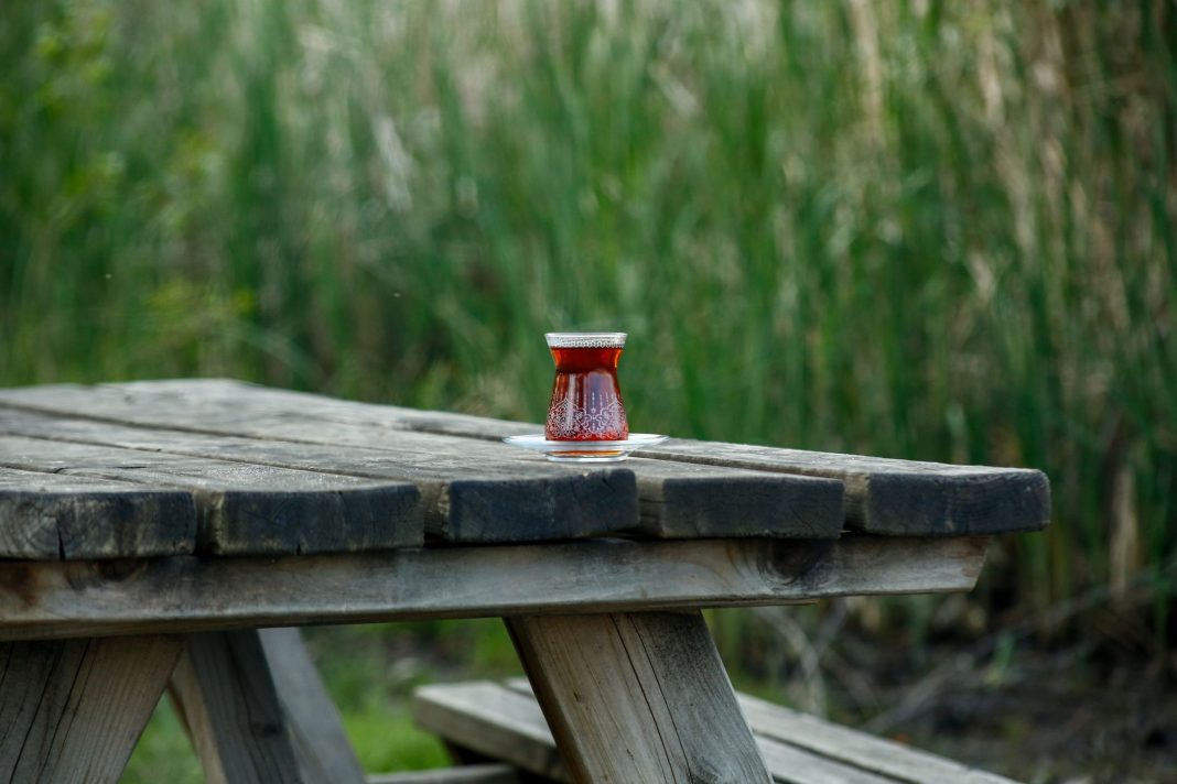 A serene morning scene with herbal tea and a small garden filled with medicinal plants, sunlight fil
