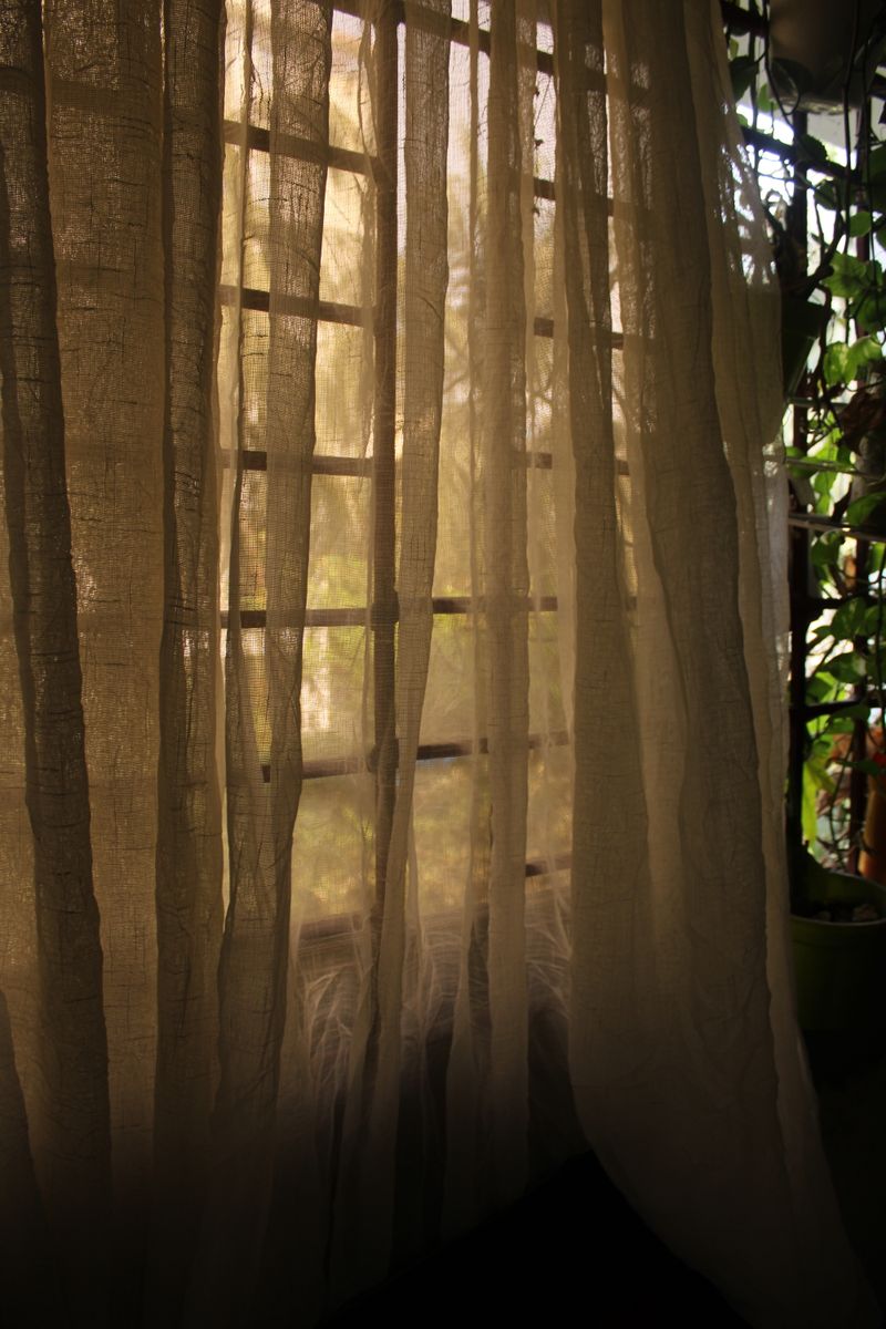 [IMAGE_PROMPT: A serene morning scene in a cozy room, sunlight filtering through sheer curtains, a s