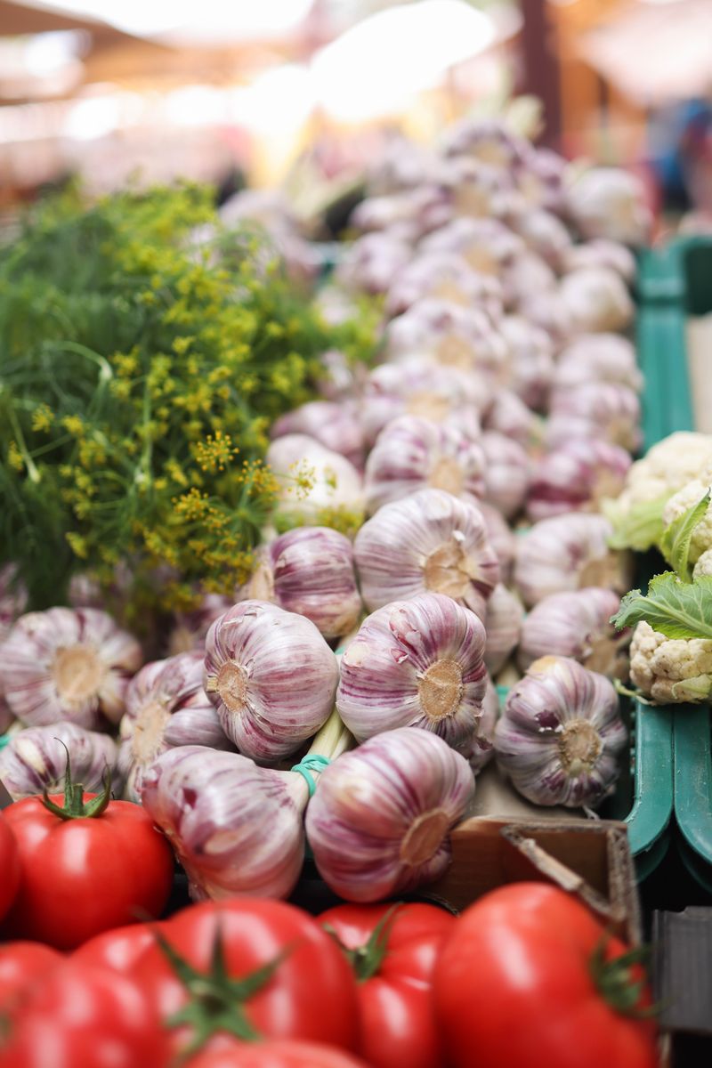 A colorful display of fresh vegetables and herbs at a farmers' market, sunlight streaming through the leaves, vibrant colors reflecting the freshness of the produce, capturing the essence of vegan cooking with a warm and inviting atmosphere.